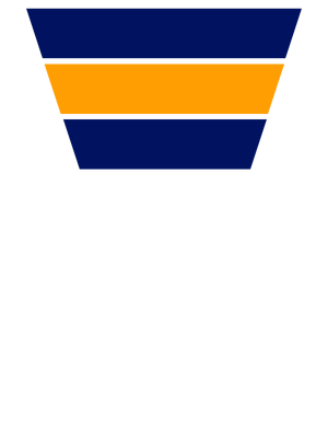 Icona sviluppo web